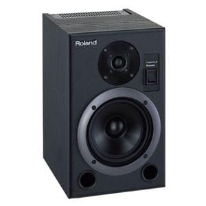 Roland DS 5 Bi Amp Digital Reference Monitor